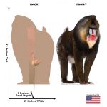 Mandrill ‎– 2枚 Mandrill Life-size Cardboard Cutout #5232 – ThisisHollywood