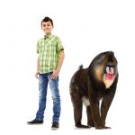 Mandrill ‎– 2枚 Mandrill ‎– 2枚 Mandrill ‎– 2枚 PACKAGE II ZX-40 Mill Drill