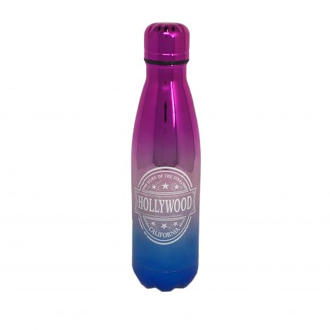  17oz Insulated Water Bottle – Metallic Ombre 