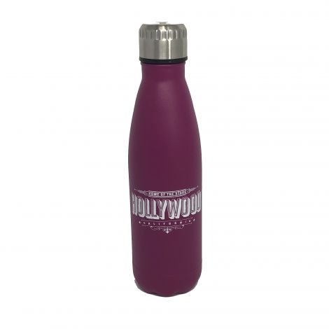 17oz Insulated Water Bottle –  Purple Matte Finish