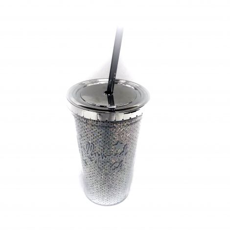  Silver Hollywood CA Tumblers