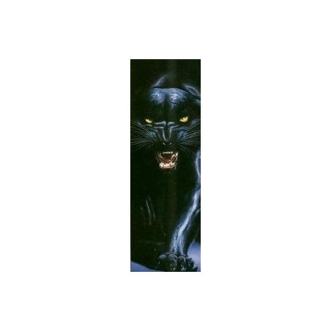  Black Panther II