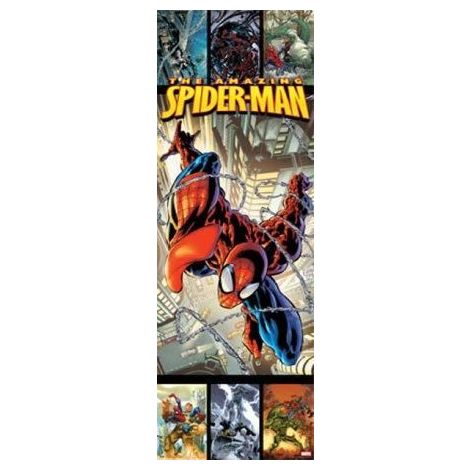  The Amazing Spider-Man Door Poster