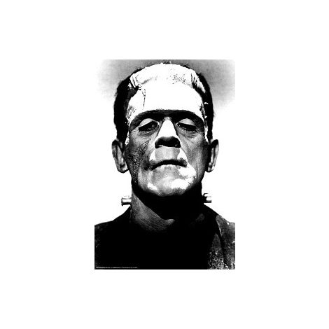  Frankenstein poster