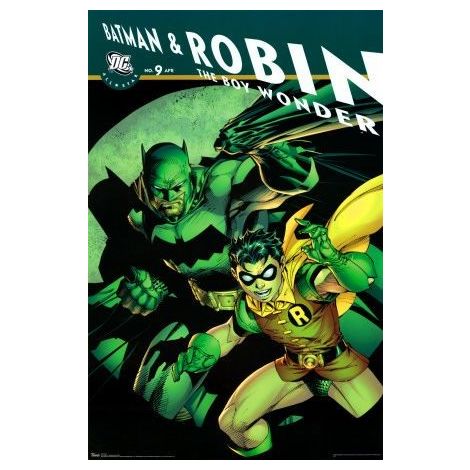  Dc Comics Batman & Robin Poster