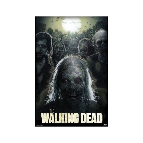  The Walking Dead Poster