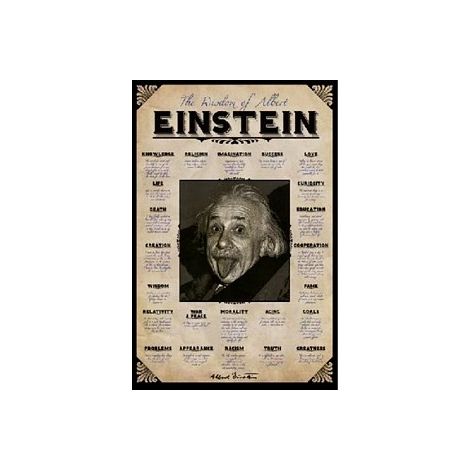  Einstein  Poster