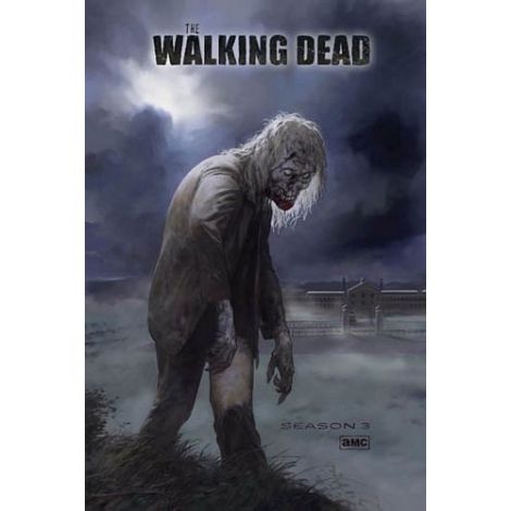 The Walking Dead Poster