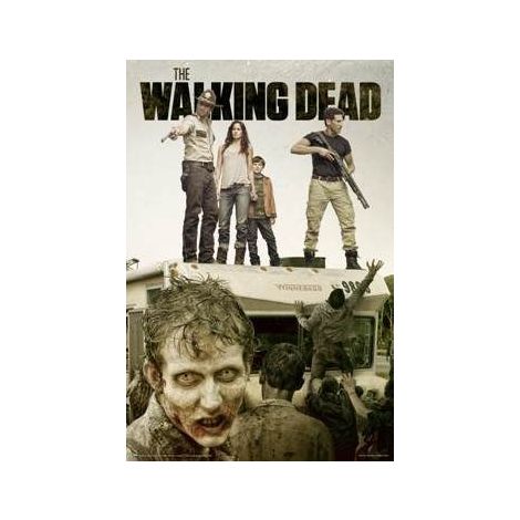  The Walking Dead Poster