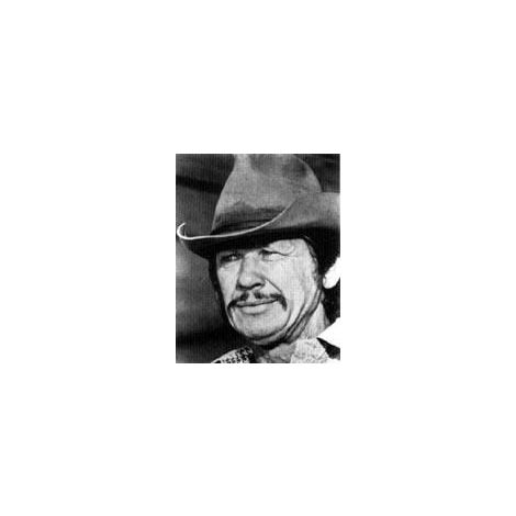  Charles Bronson