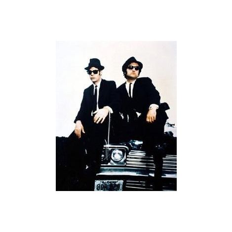  The Blues Brothers