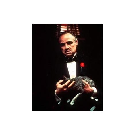  Marlon Brando from "The Godfather"