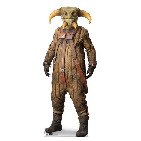  BOOLIO Cardboard Cutout from Star Wars IX *2963 