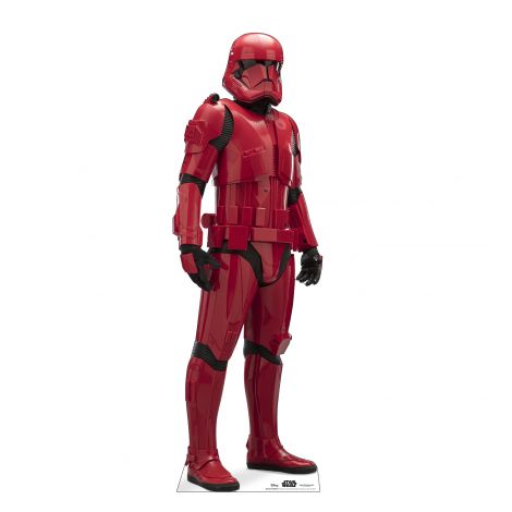  Sith Trooper Cutout from Star Wars IX *2984