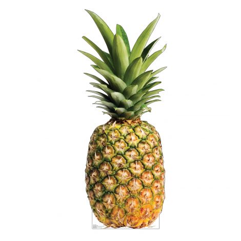  Pineapple Cardboard Cutout *3002