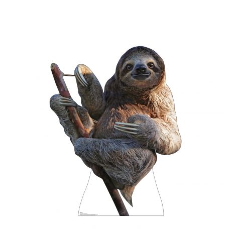  a sloth Cardboard Cutout *3007