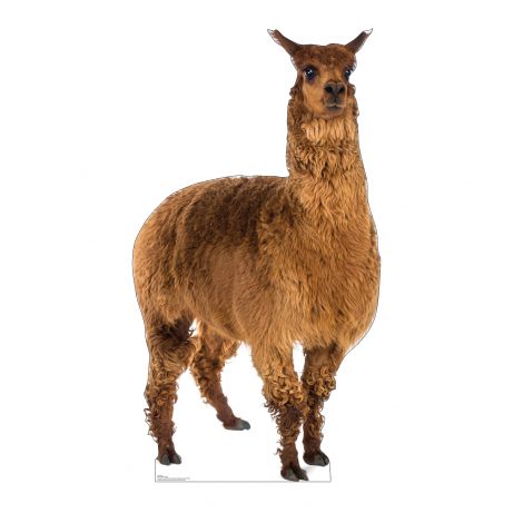 Llama Cardboard Cutout *3010