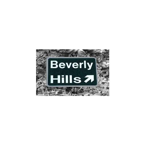  Beverly Hills Freeway Sign