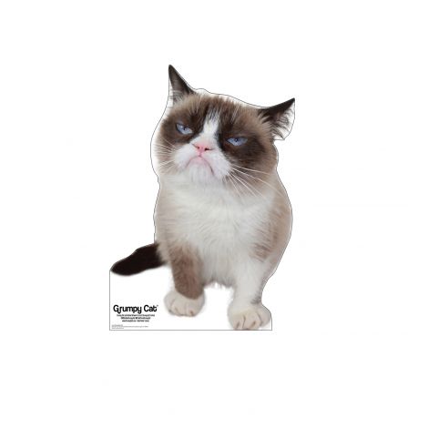 Grumpy Cat Cardboard Cutout *3047