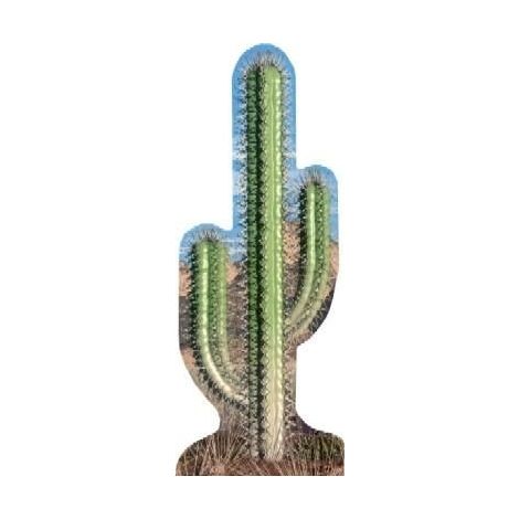 Cactus Cutout 583