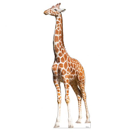  Giraffe Life-size Cardboard Cutout #3171