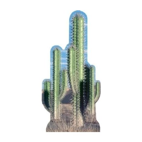  Group Cactus Cutout 584