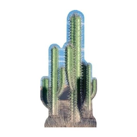 Group Cactus Cutout 584