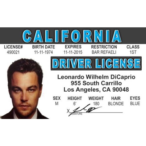  Leonardo DiCaprio Novelty Driver License