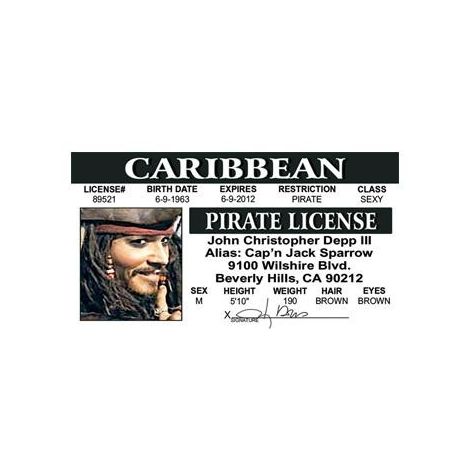  Johnny Depp Driver License