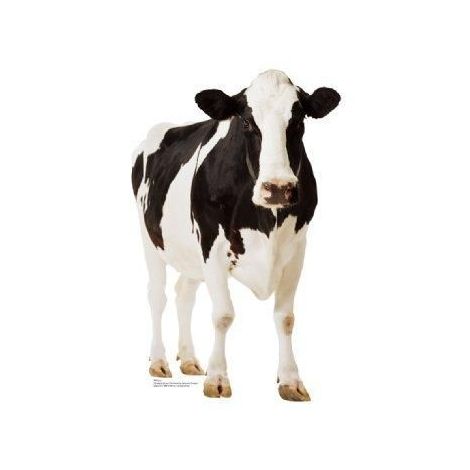 Cow Cutout 709