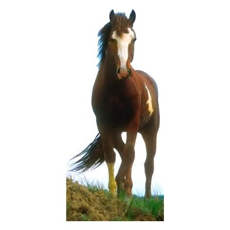  Mustang Horse Cutout 582