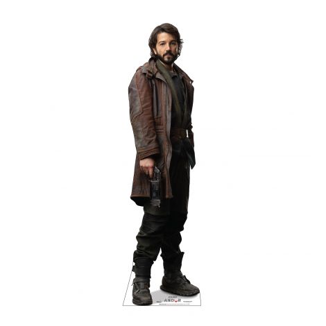 Cassian Andor Cutout from Star Wars Andor #3946