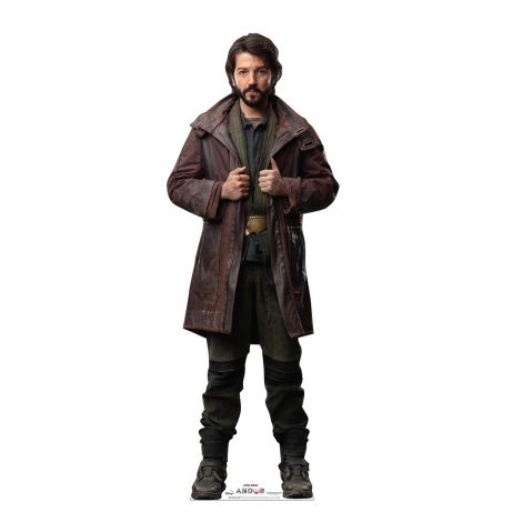 Cassian Andor Front Life-size Cardboard Cutout #3971