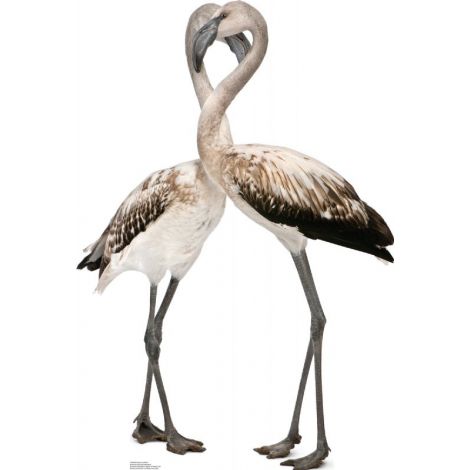 Flamingos Lifesize cutout #1490