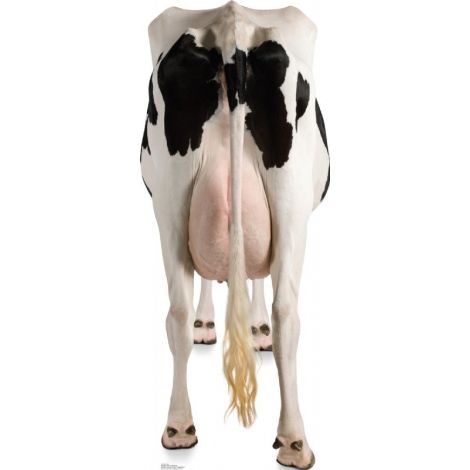  Cow Rear Lifesize cutout #1489
