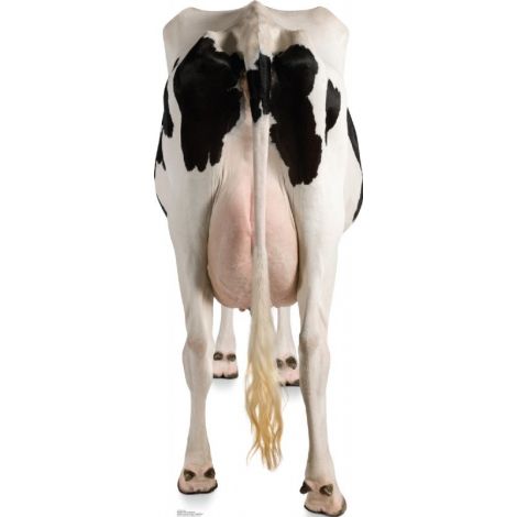 Cow Rear Lifesize cutout #1489