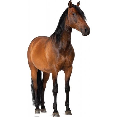  Horse Lifesize cutout #1491