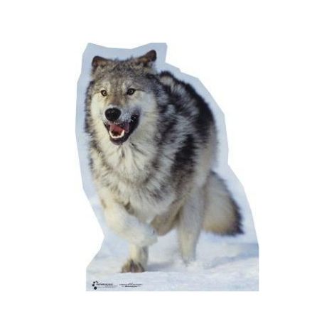 Wolf Photo Cutout