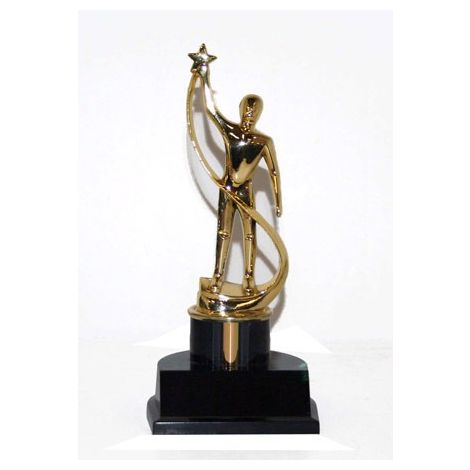  Reach for the stars Trophy