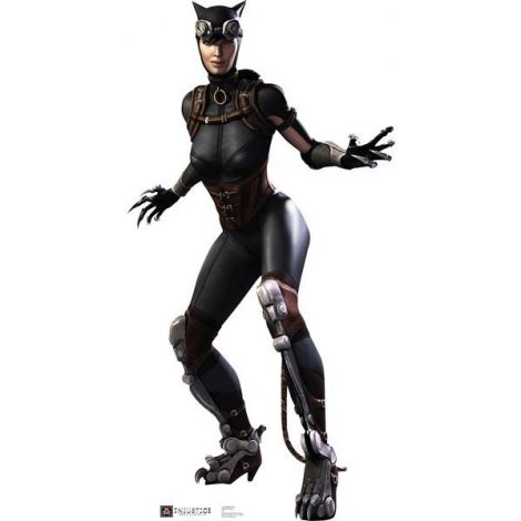  Catwoman Injustice Gods Among Us Cardboard Cutout #1685