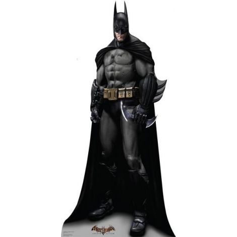  Batman Arkham Asylum Game Cardboard Cutout #1690 