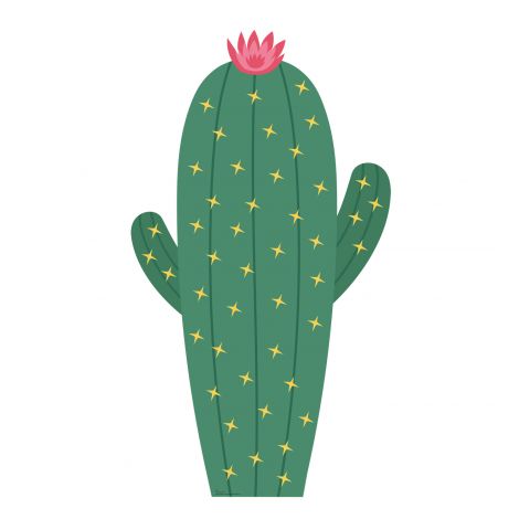  Cactus 60 Inch Life-size Cardboard Cutout #5011