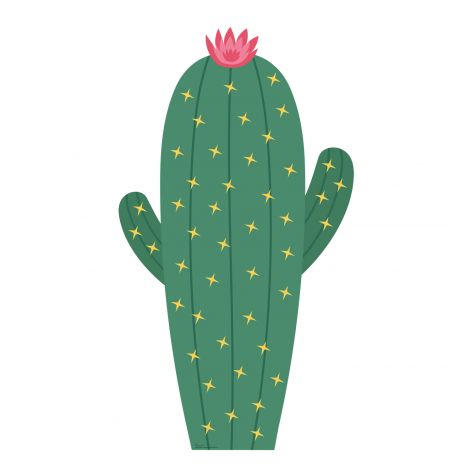 Cactus 60 Inch Life-size Cardboard Cutout #5011