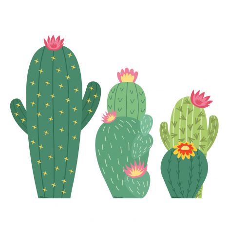 Cactus Grouping Set of 3 Life-size Cardboard Cutout #5012