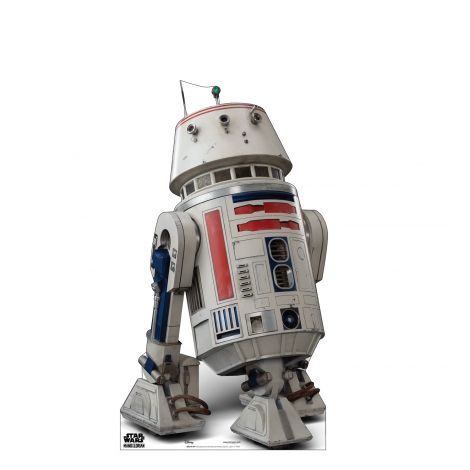  R5-D4  Life-size Cardboard Cutout #5092