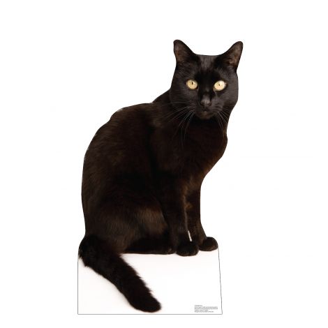 Black Cat Life-size Cardboard Cutout #5185