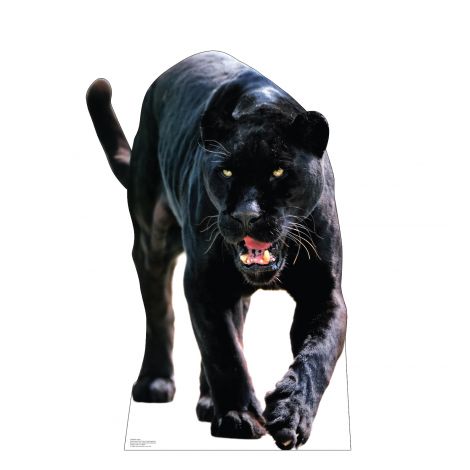 Black Jaguar Life-size Cardboard Cutout #5186