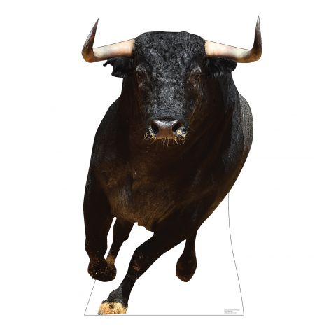 Bull Life-size Cardboard Cutout #5191