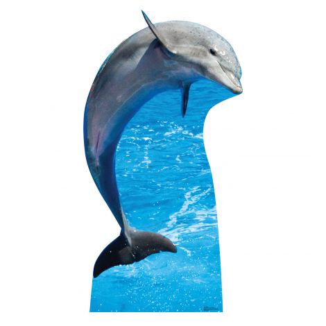  Dolphin Life-size Cardboard Cutout #5204