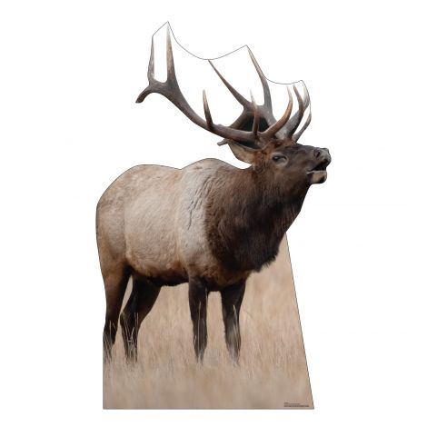  Elk Life-size Cardboard Cutout #5207
